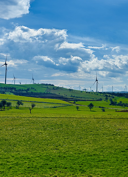Polat Holding enerji projeleri - Poyraz