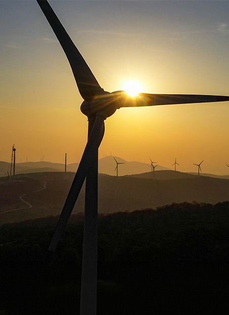 Polat Holding görseli - Soma 